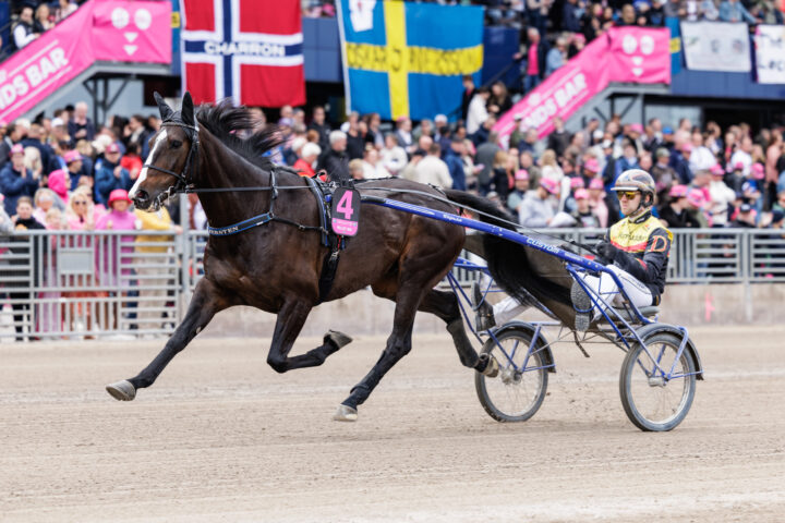 MELLBY JINX värmning-2.jpg