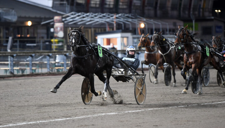 Ace Wibb mål  (1).jpg