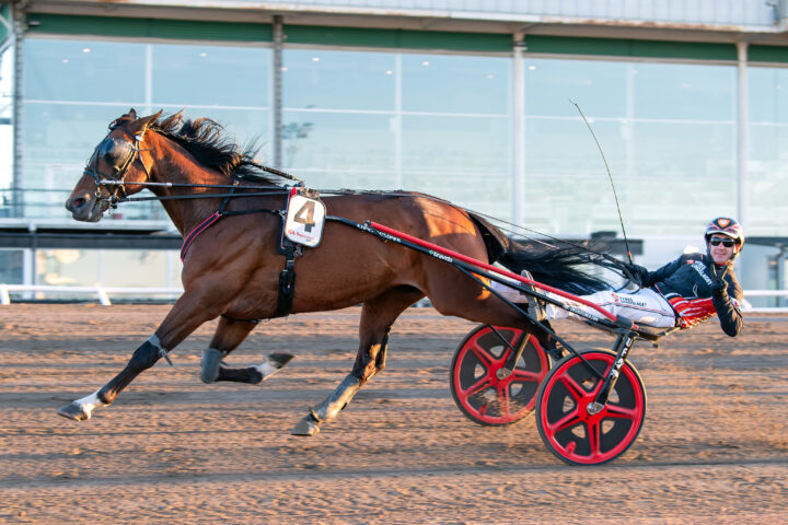 Alvena Roy målgång.jpg