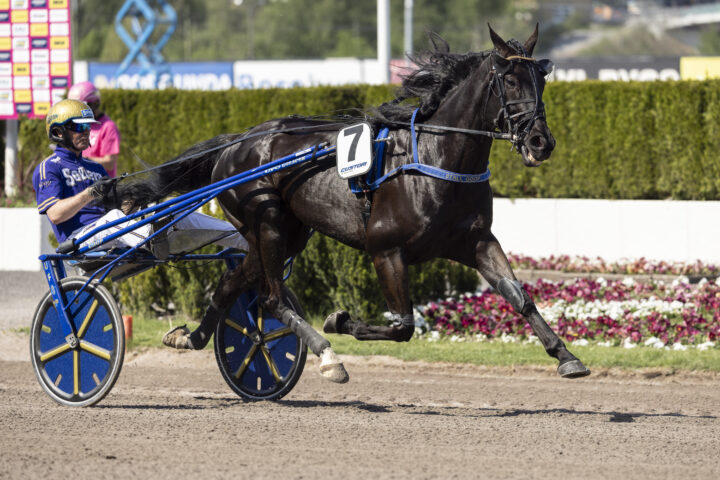 Betting Pacer heat-2.jpg