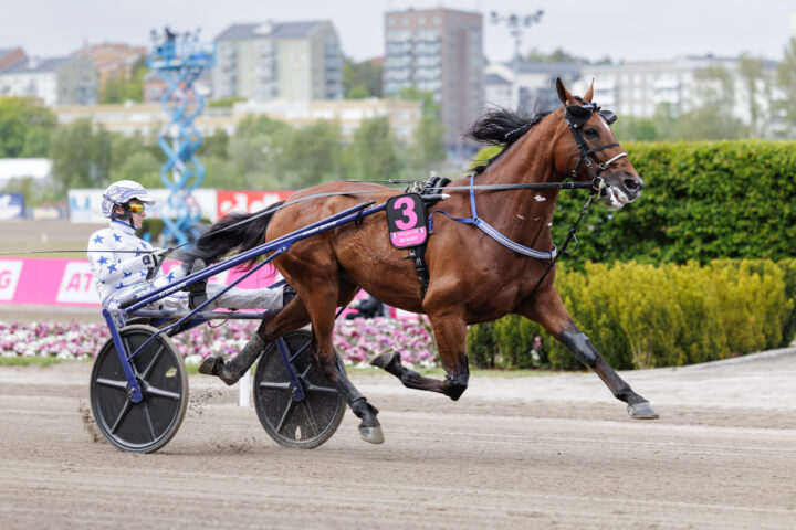 GO ON BOY heat försök-3.jpg