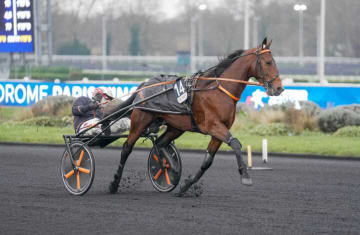 Jabalpur Gabriele GELORMINI -9269.jpg