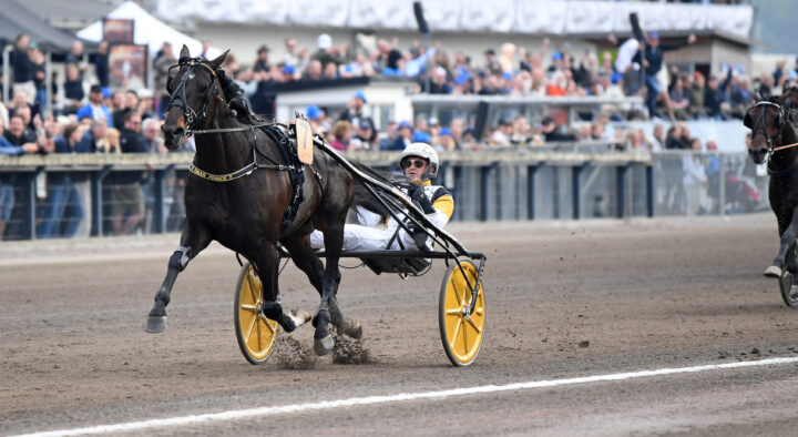 Önas Prince mål 0 (4).jpg