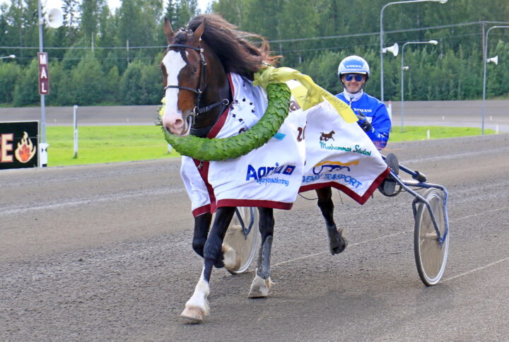 OVERVIK PRINSEN Def.JPG