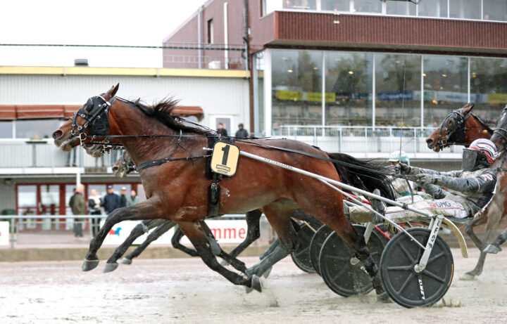 Petho mål.jpg