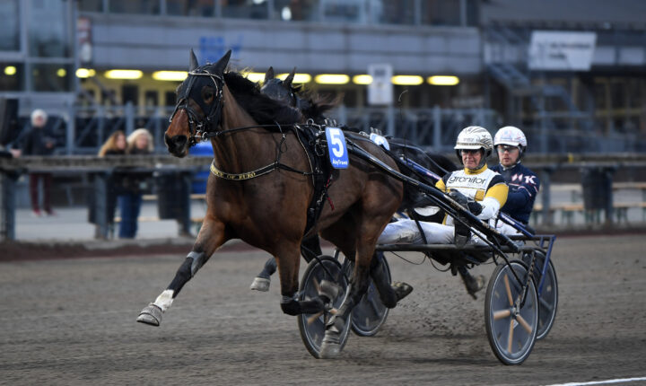 Prince of Euro mål  (2).jpg