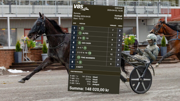 vinst-springrace-
