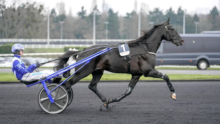 1120-borups-victory-inbjuden-elitloppet-2026