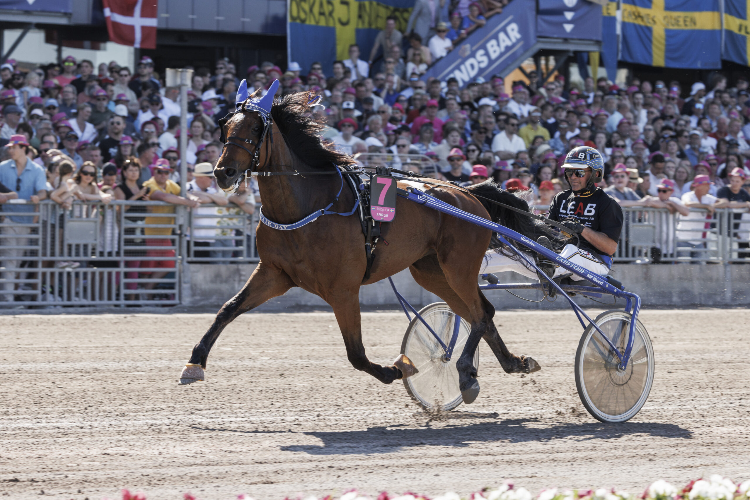 A FAIR DAY heat 2.jpg