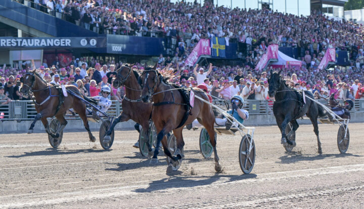 Allegiant mål Elitloppet.jpg