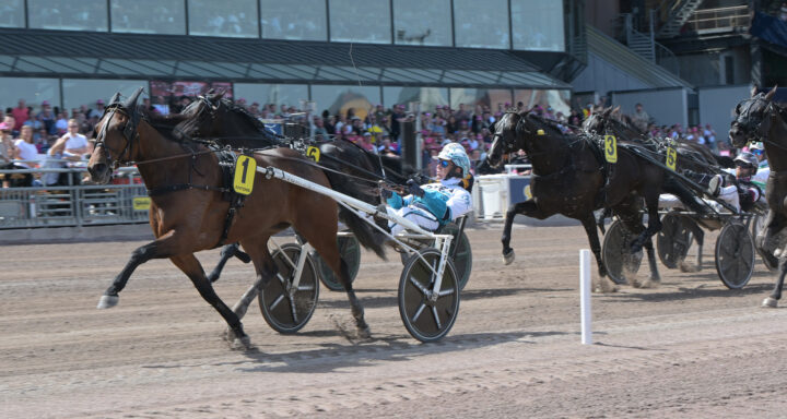 Double Deceiver mål.jpg