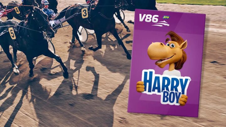 harry-boy-v86