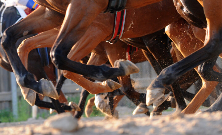 HOVAR GALOPP