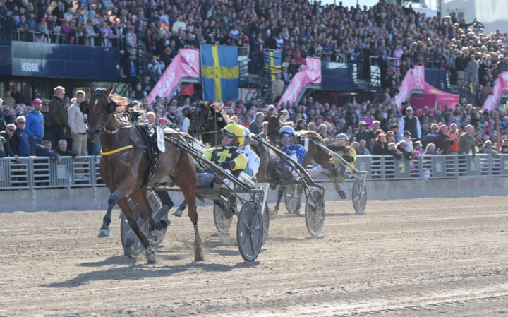 Inmarosa mål.jpg