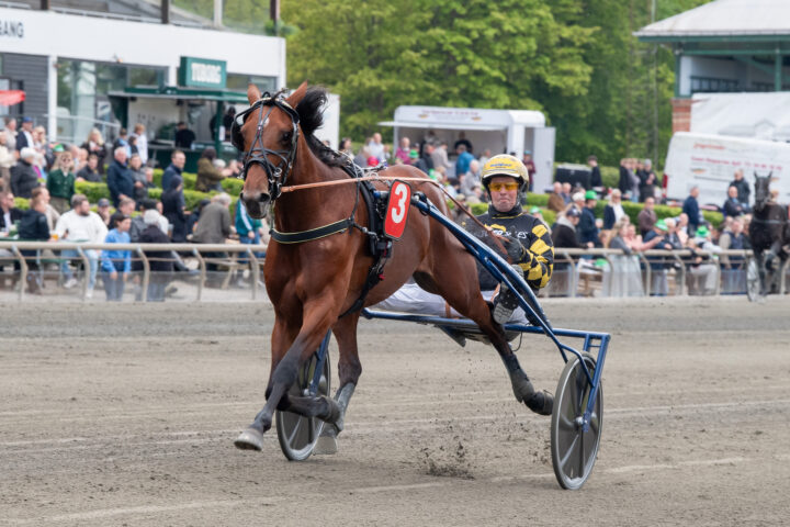 Menza målgång.jpg