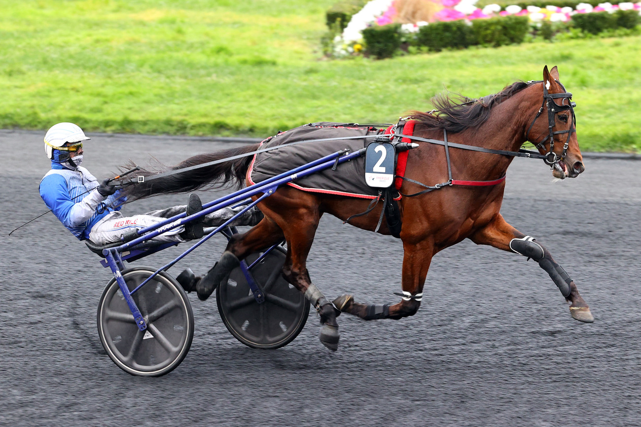 R1C6 PRIX D’AMERIQUE – AMERIQUE RACES FINALE – CI – G1 – QUINTE + VINCENNES