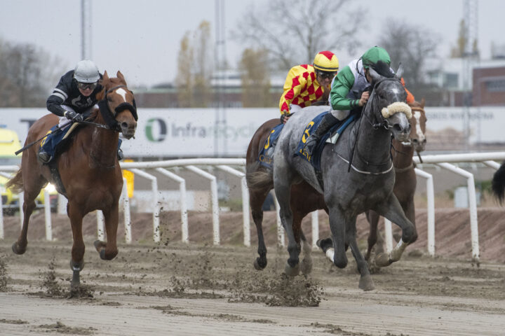 Jägersro 251109
Foto: Stefan Olsson / Svensk Galopp