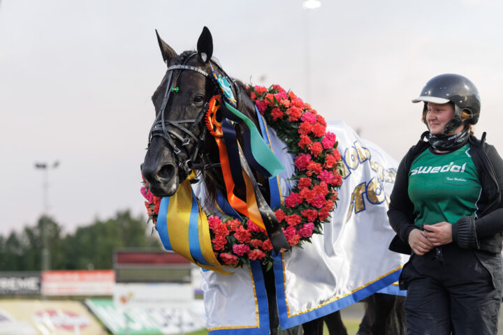 CASTOR THE STAR med krans och skötare.jpg