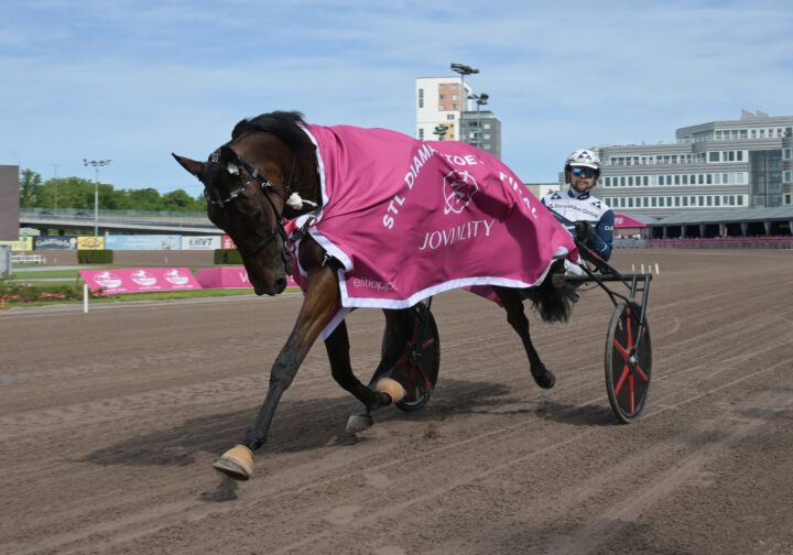 Celiaz segerdefilerar.jpg