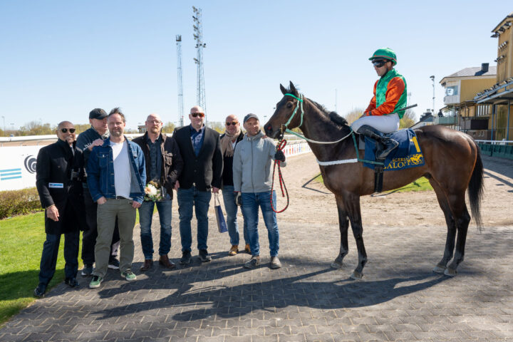 Papa Joe i vinnarcirkeln Jägersro 260426Foto: Stefan Olsson / Svensk Galopp