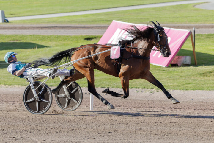 ALLEGIANT i ledningen ett varv kvar final Elitloppet.jpg