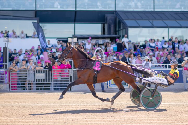 dream-mine-solvalla-2026
