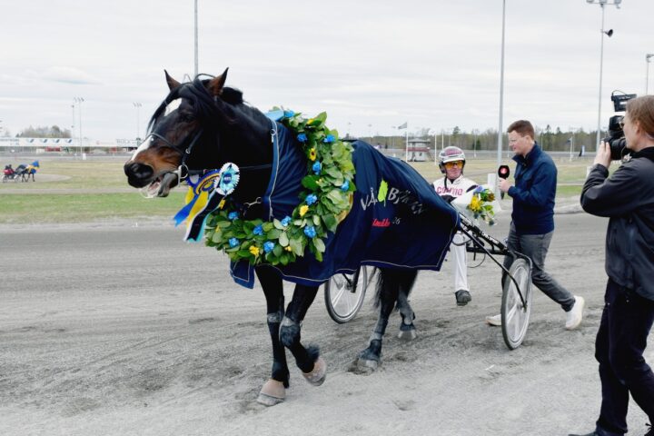 lundasens-teknik-nyss-vunnit-varbjorken2