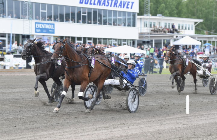 Y.Not Diamant mål.JPG