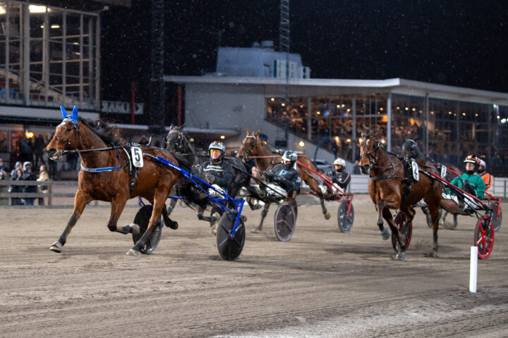 A Fair Day målgång2.jpg