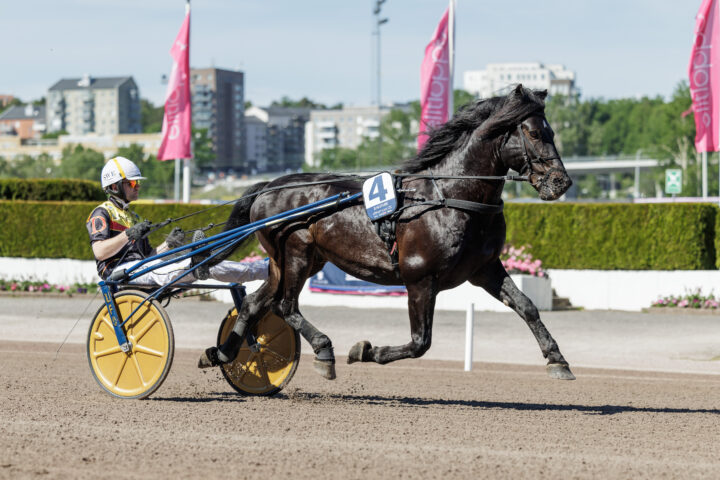 B.W. STURE heat 2.jpg