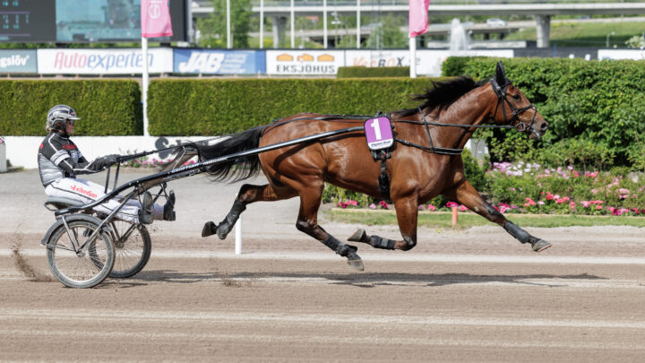 JACKPOT MEARAS värmning.jpg