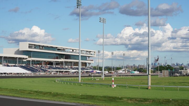 The Meadowlands kurv vy -01899.jpg