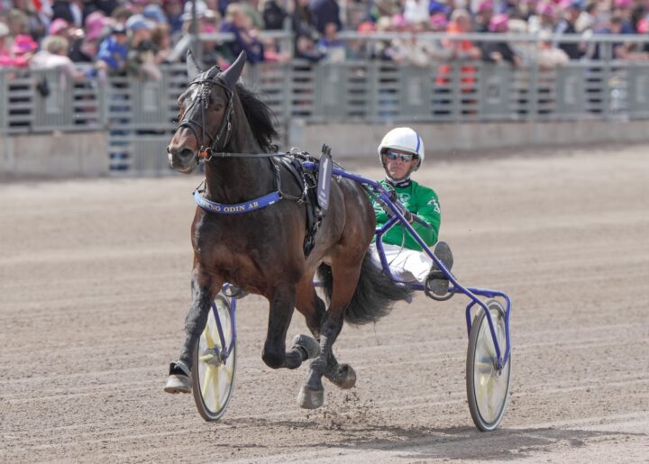 B.W.Rune Åke Svanstedt Elitloppssöndagen 2023 -2.jpg