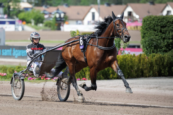 MERLIN MEARAS värmning med Maria Törnqvist.jpg